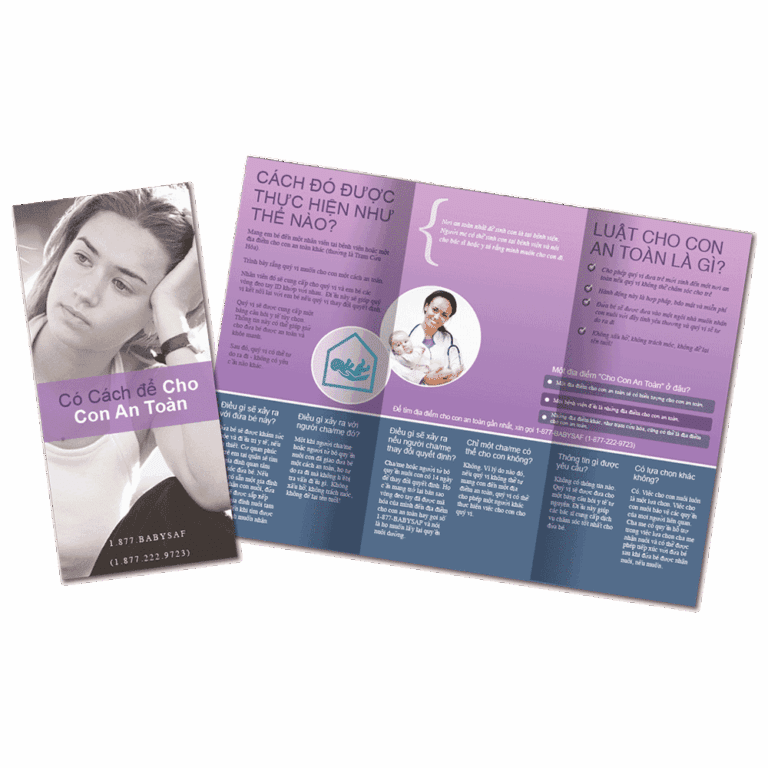 Safely Surrendered Baby Brochure - Vietnamese