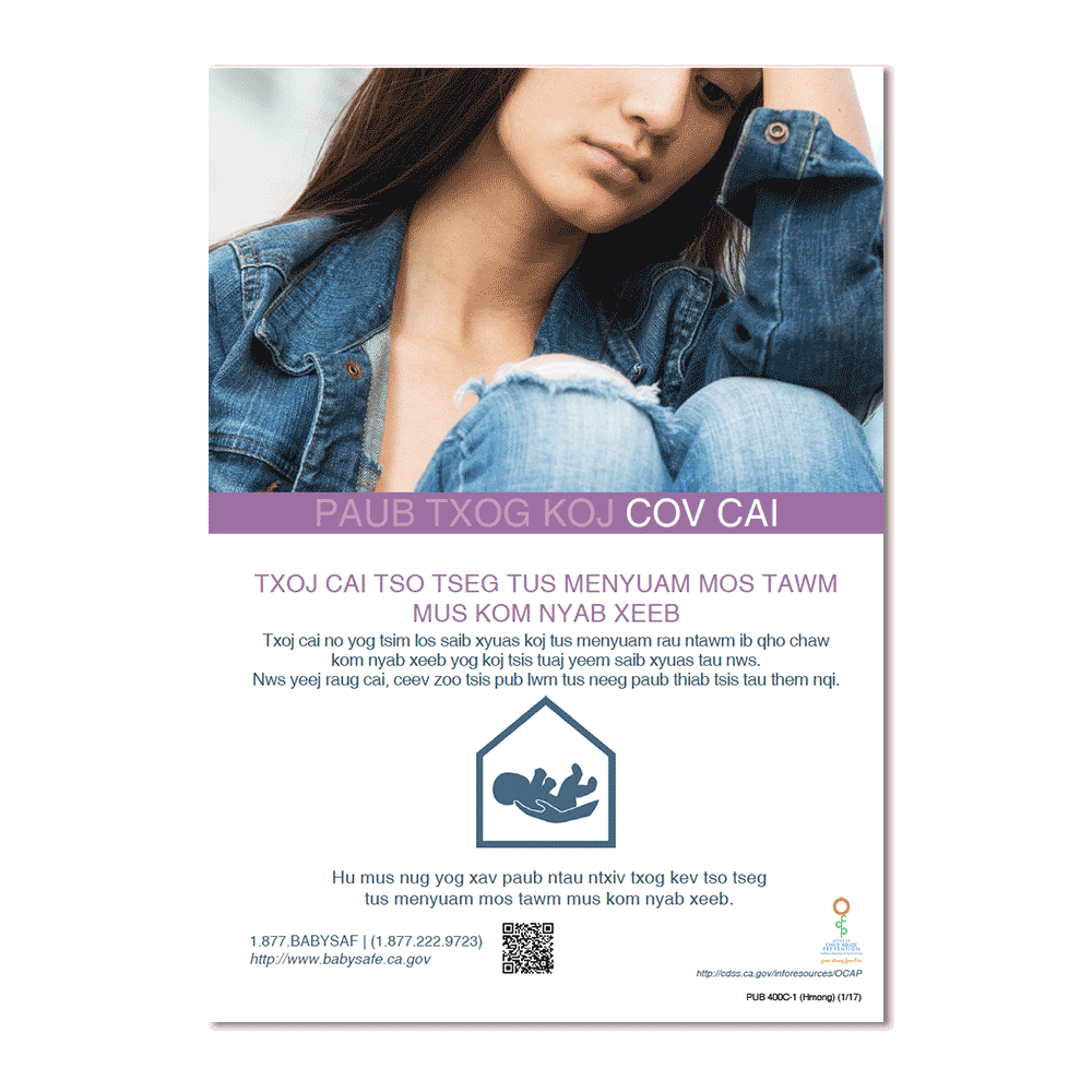 Know Your Rights Poster - Hmong
